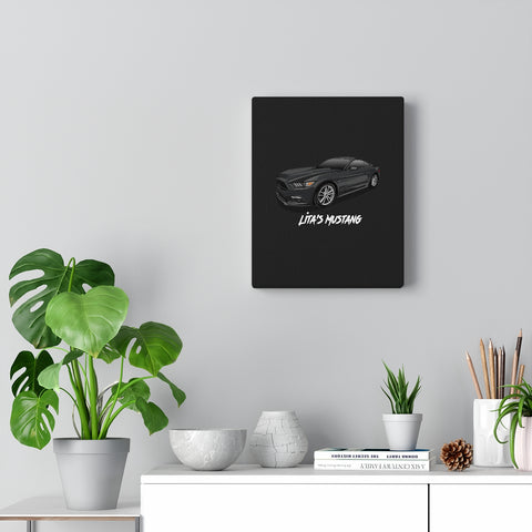 austin ferguson | 2017 Mustang Coupe | Canvas